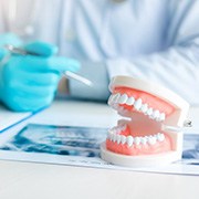 a model of teeth on a table